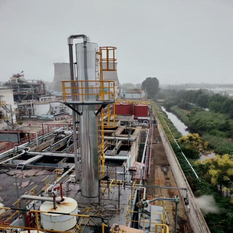 工业废水处理公司肽白粉污水处理技术全解析：工艺流程、运维管理与环保意义